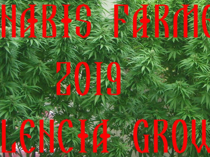 Cannabis Farming Valencia Grow 2019